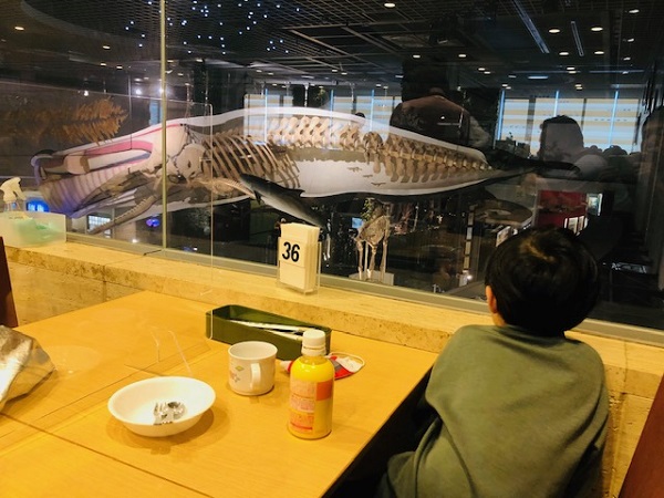 22 恐竜博物館ランチならココ こどもが喜ぶ上野国立科学博物館レストラン ムーセイオン まとめ 東京リーマンライフ 東京で働くサラリーマンによるサラリーマンのためのポータルサイト